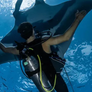 toursnautilusdiving3