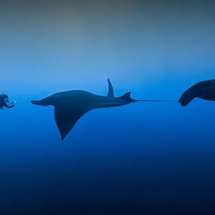 toursnautilusdiving6