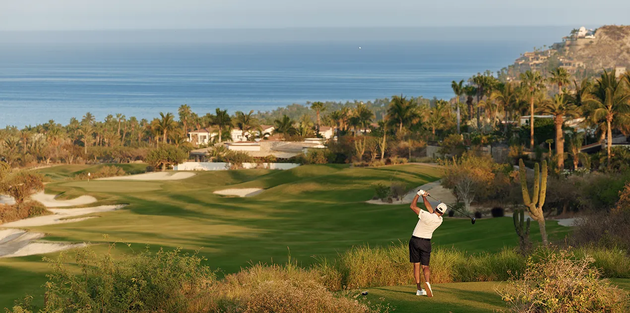 palmilla main trigger