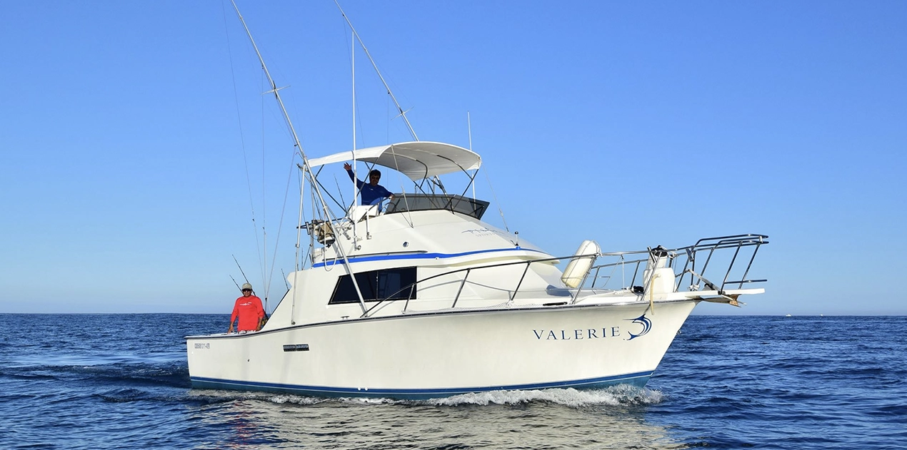 valerie main trigger