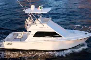 cabo activity