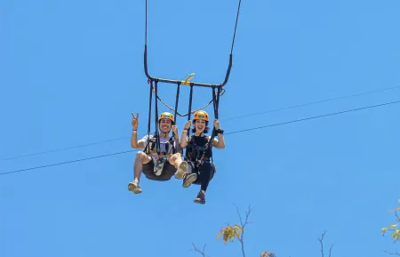 swing