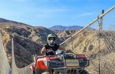 atvsweb 10