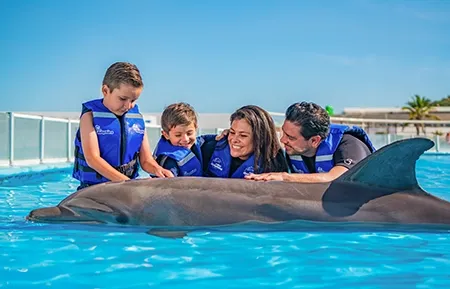 10 dolphin encounter