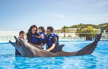 9 dolphin encounter
