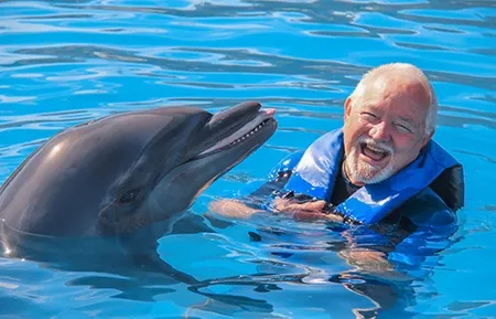 1 dolphin signature swim