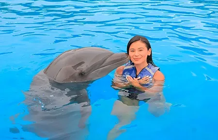 6 dolphin signature swim