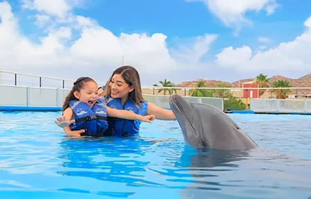 9 dolphin signature swim