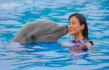 12 dolphin experience