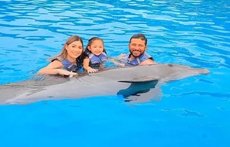 3 dolphin experience