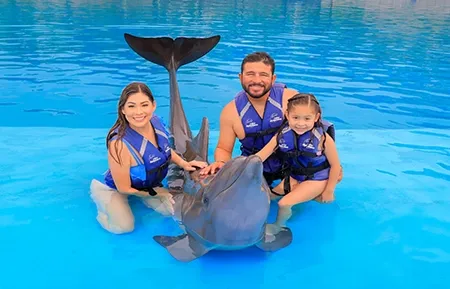 7 dolphin experience