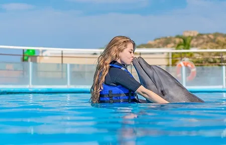 7 dolphin premium swim