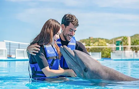 13 dolphin premium swim