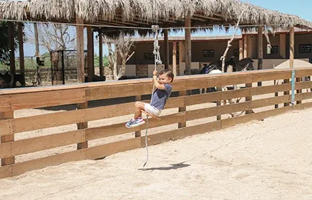 9 ts beach club and kids adventure park