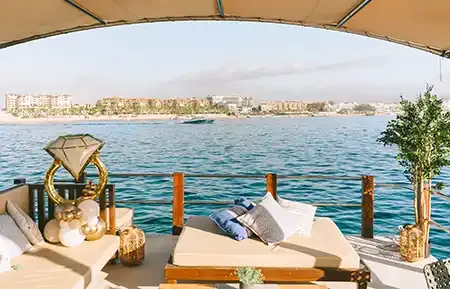 alora 2
