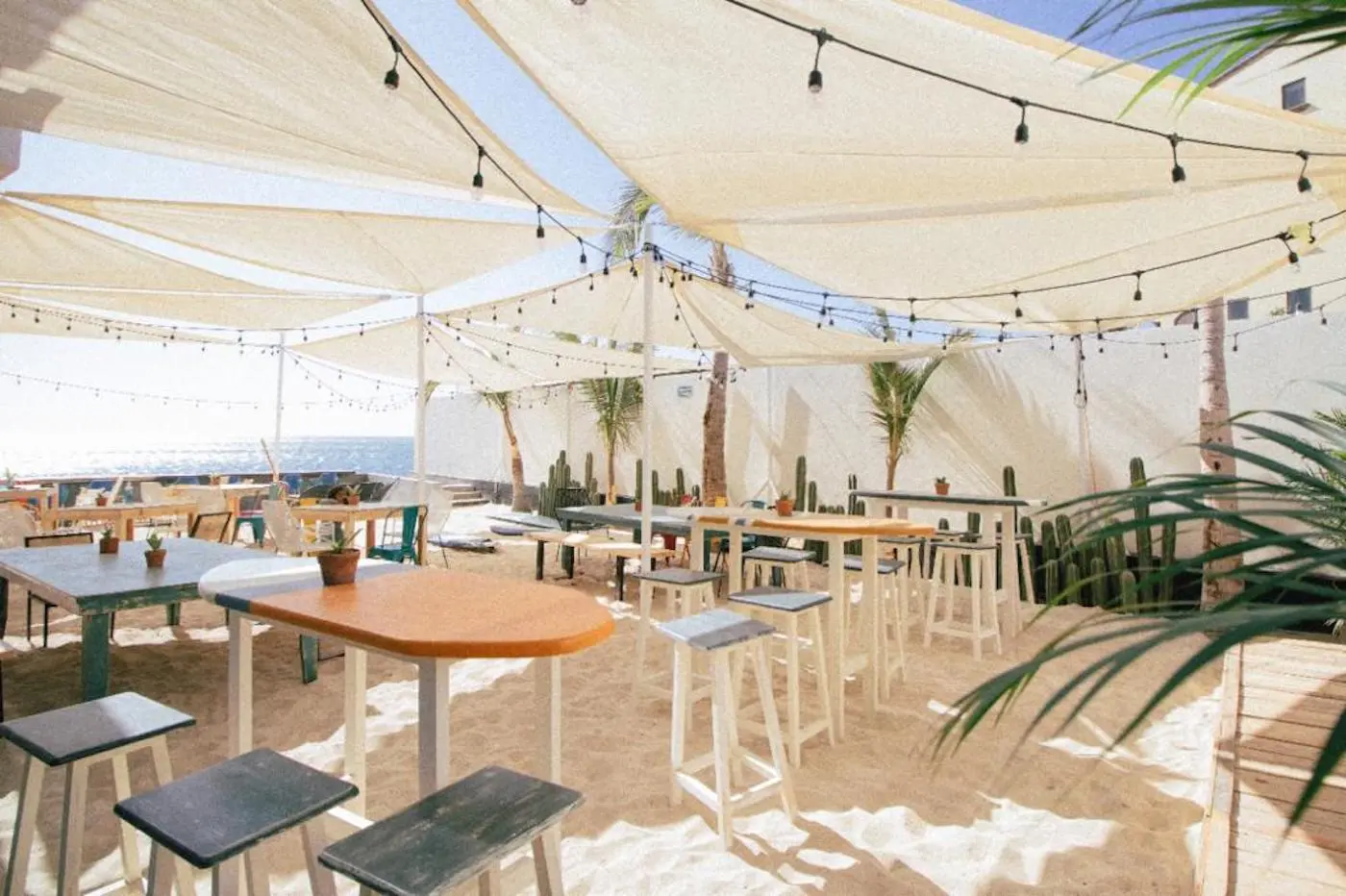 Vacation Beach Day Clubs in Los Cabo	