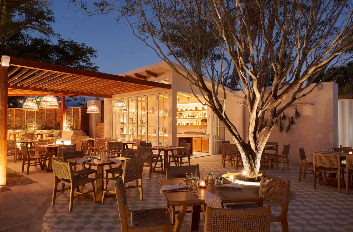Sage fine dining restaurant in San Jose del Cabo Mexico	