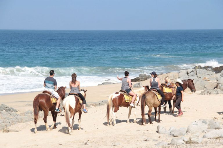 Beach Horseback Riding Tours Cabo San Lucas Mexico	