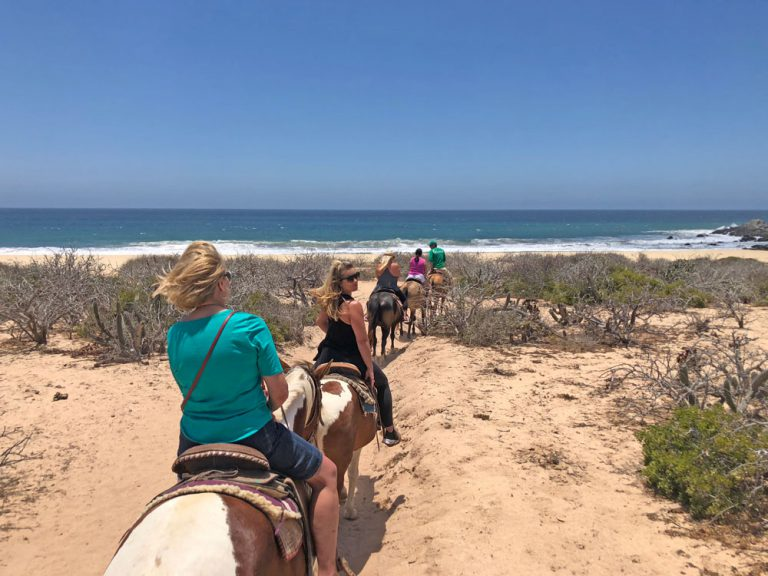 Beach Horseback Riding Tours Cabo San Lucas Mexico	