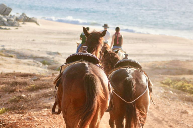 Horseback riding in Cabo San Lucas Mexico	