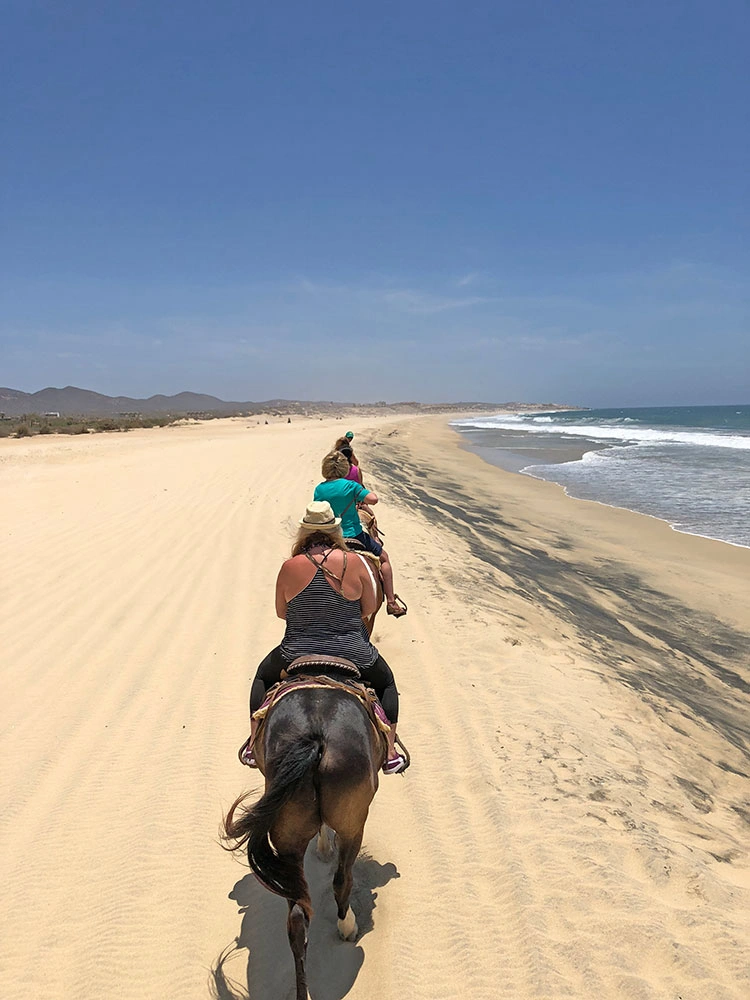 Horseback riding in Los Cabos Mexico	