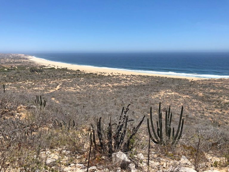 Pacific beach in Los Cabos Mexico	