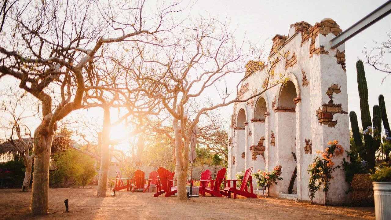 Fine farm to table dining in Cabo San Lucas Mexico	