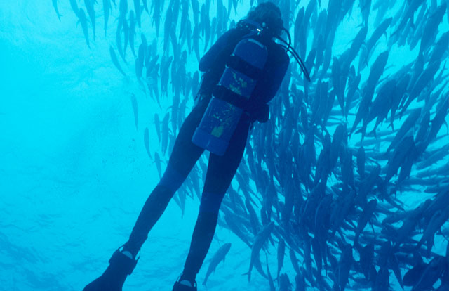 Scuba diving in Cabo San Lucas Mexico	