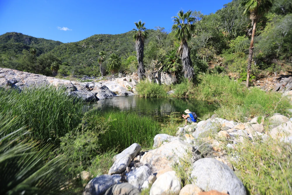 Desert hot springs and freshwater pools in Baja California Sur	