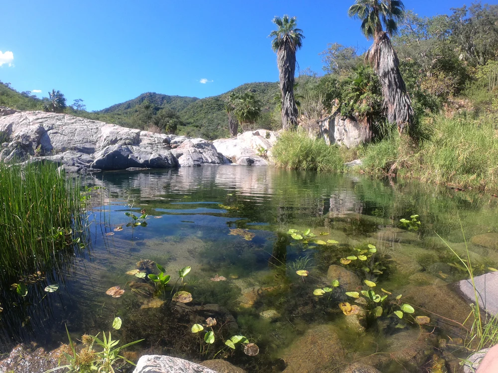 Desert hot springs and freshwater pools in Baja California Sur	