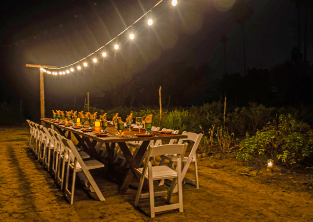 Huerta Los Tamarindos in Los Cabos Mexico organic cuisine	