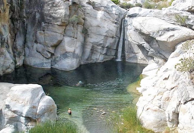 Los Cabos Mexico Unique Activites	