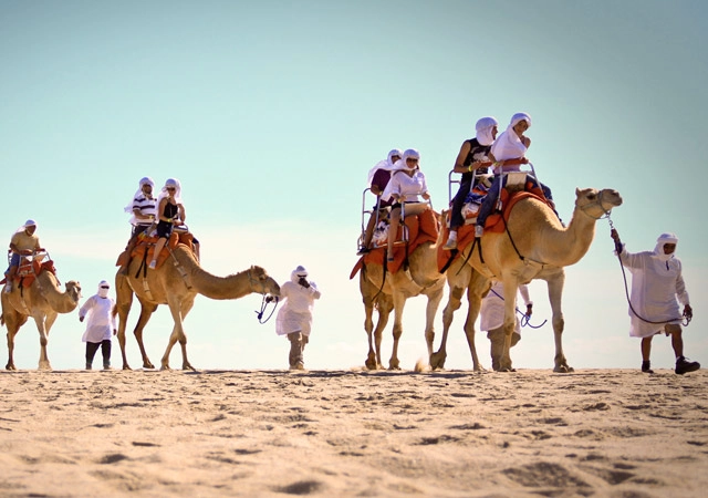 Cabo San Lucas Camel Rides	