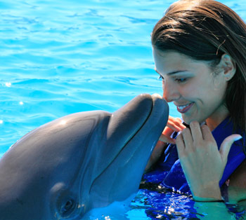 Cabo Dolphins Tours in San José del Cabo	