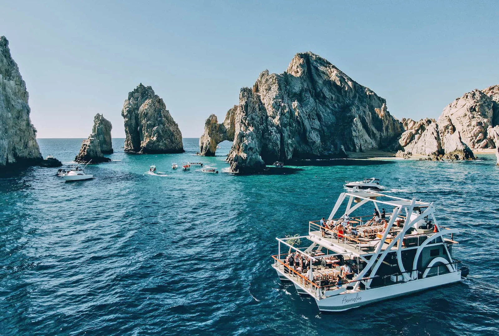 Animalon by the Sea Fine Dining Restaurant Sunset Cruise in Cabo San Lucas Mexico	