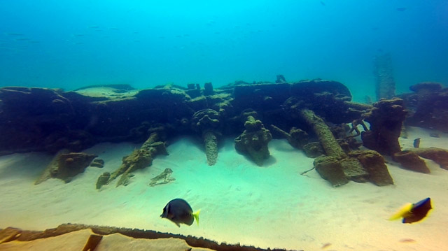 Scuba Diving in Cabo San Lucas Mexico	