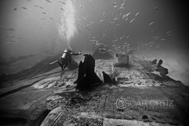 Diving Tours in Baja California Sur Mexico	