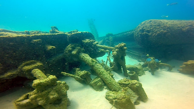Scuba Diving in Cabo San Lucas Mexico	