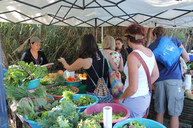 cabo vacation san jose fresh produce farmers market	