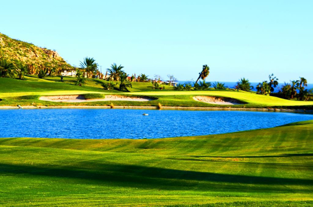 Cabo Real Golf Course Hurricane Odile Recovery Los Cabos Mexico	