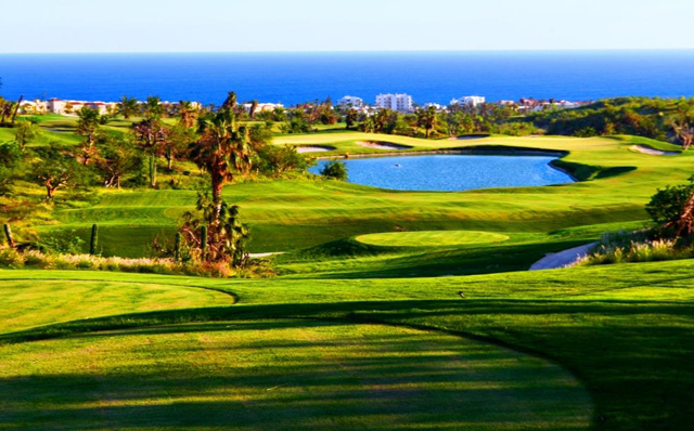 Cabo Real Golf Course Hurricane Odile Recovery Los Cabos Mexico	