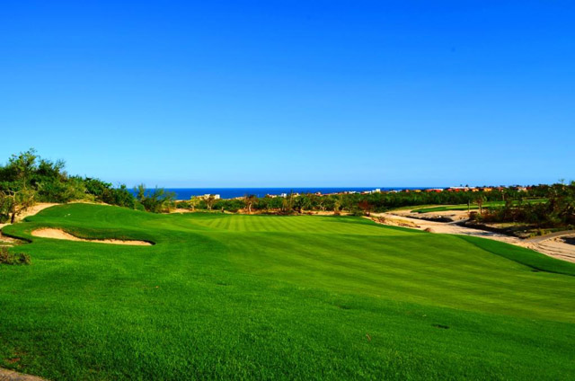 Club Campestre Golf Course Hurricane Odile Recovery Los Cabos Mexico	