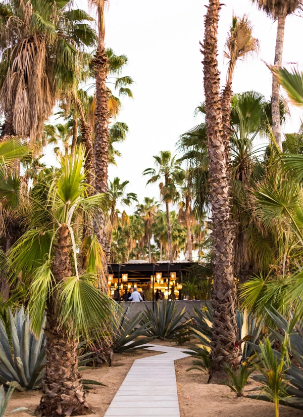 Acre Baja Restaurants and dining in Los Cabos Mexico	