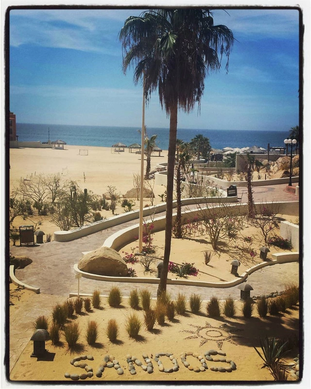Sandos Finisterra Los Cabos Resort	