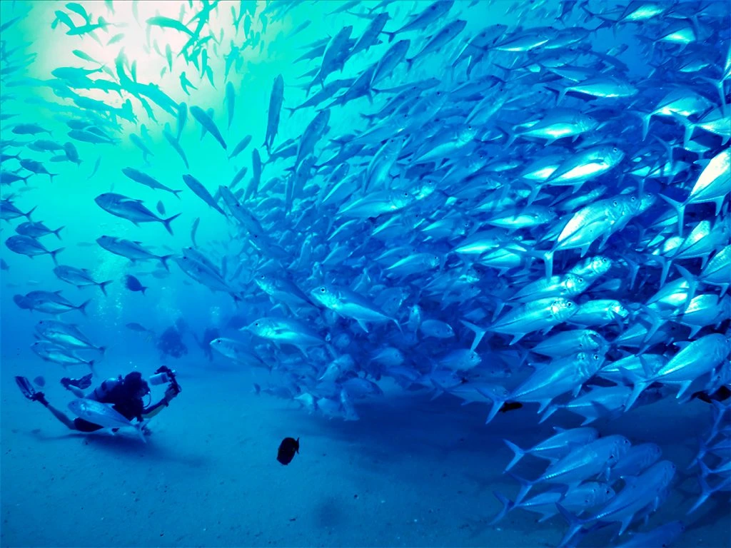 Cabo's Top Beaches	