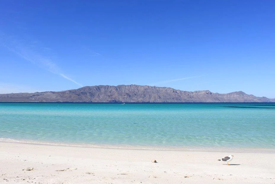 Private luxury yacht charters in the Sea of Cortez	