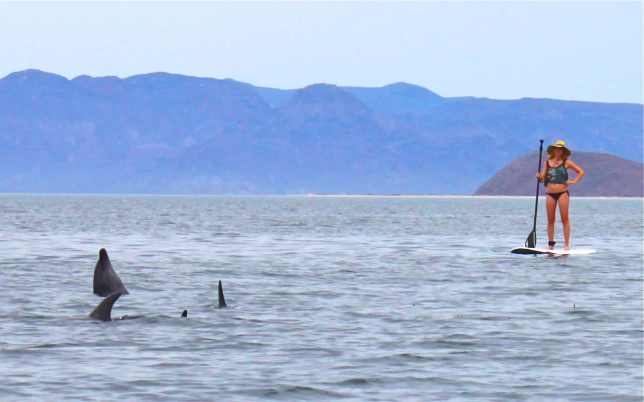 Private Yacht Charters in Los Cabos Mexico	