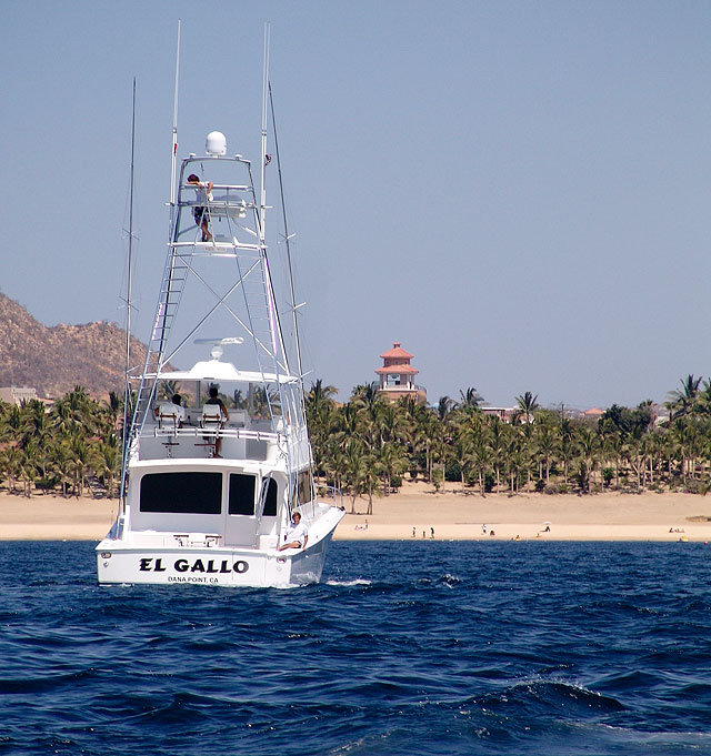 Bisbee Fishing Tournament Team Los Cabos Mexico	