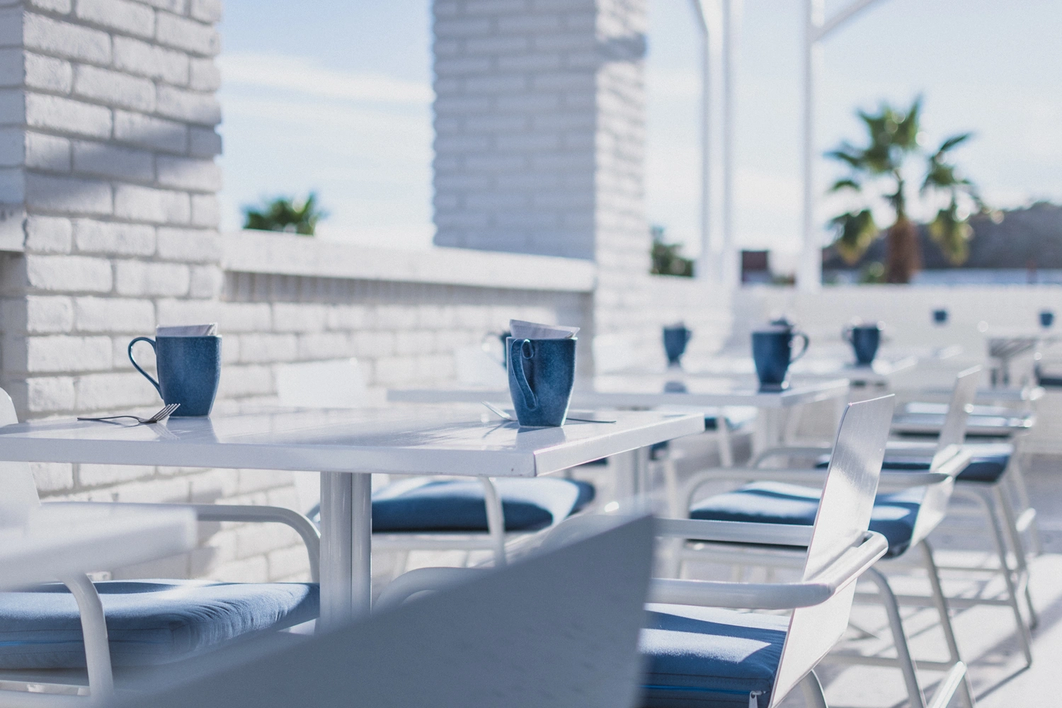 NAO fine dining Mediterranean restaurant Los Cabos Mexico	