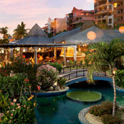 New Year's Eve in Cabo San Lucas Mexico NYE	